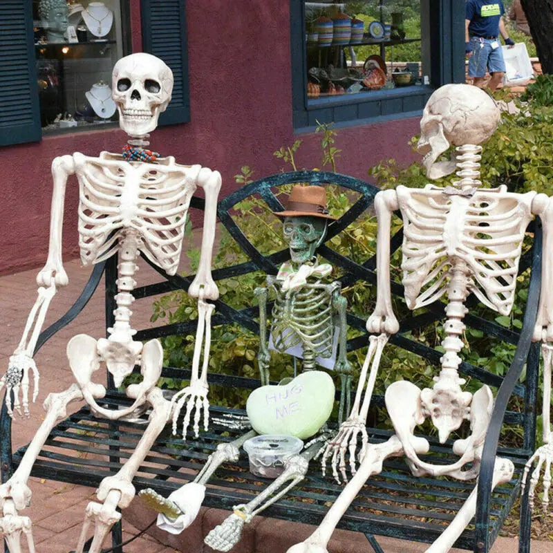 Authentic Skeleton Display