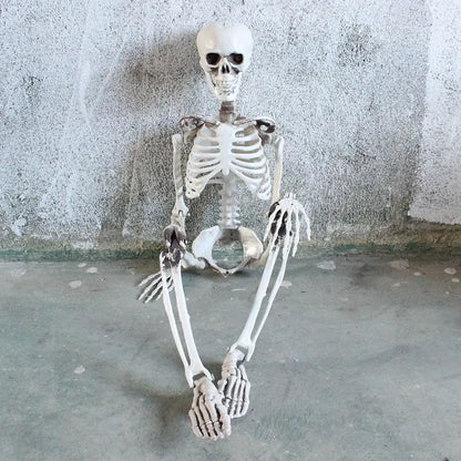 Authentic Skeleton Display